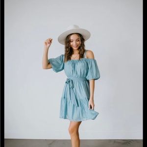 never worn! aveline shimmery flare dress